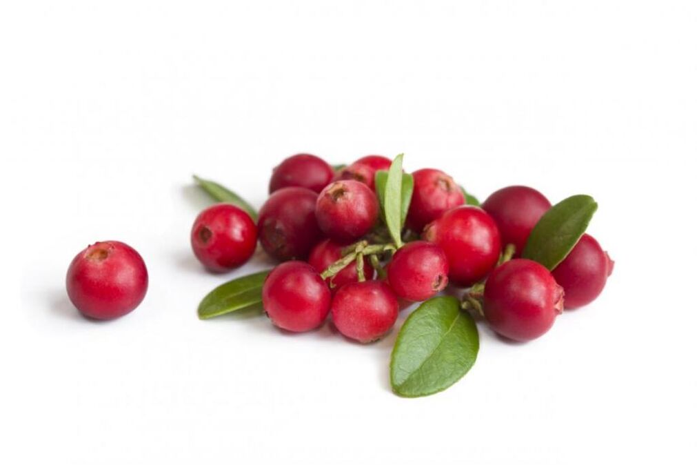Cranberry - ingredients of prostalin