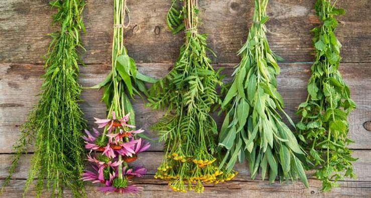 Herbs in folk medicine for the treatment of prostatitis in men