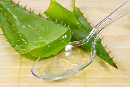 Kalancho juice is used to treat prostatitis