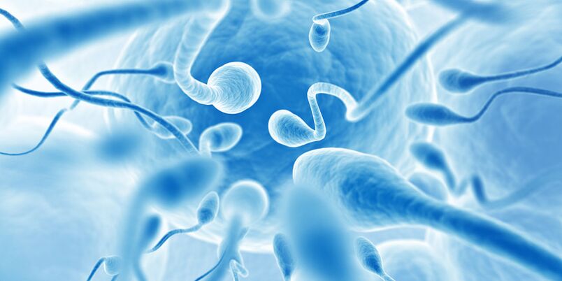 Premature ejaculation in men with chronic prostatitis